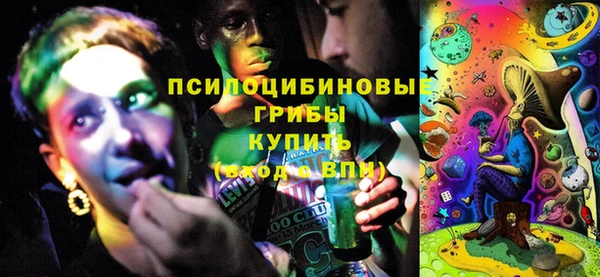 твердый Шарыпово