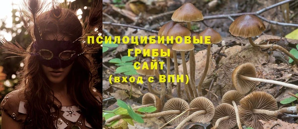 соль курить ск Шадринск