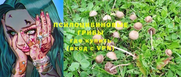 шишки Каменка