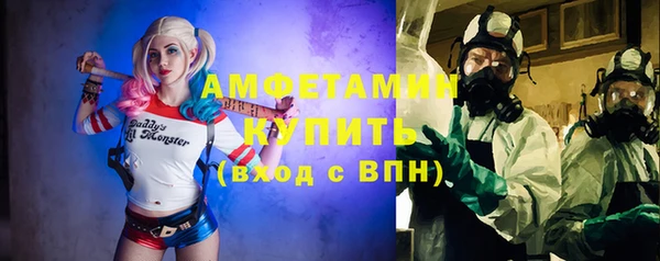 шишки Каменка